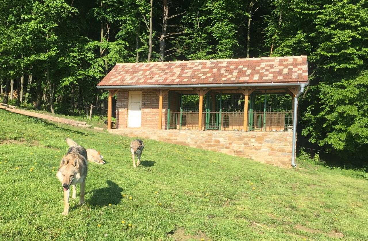 Chata Koniaren Pavlovce Exterior photo